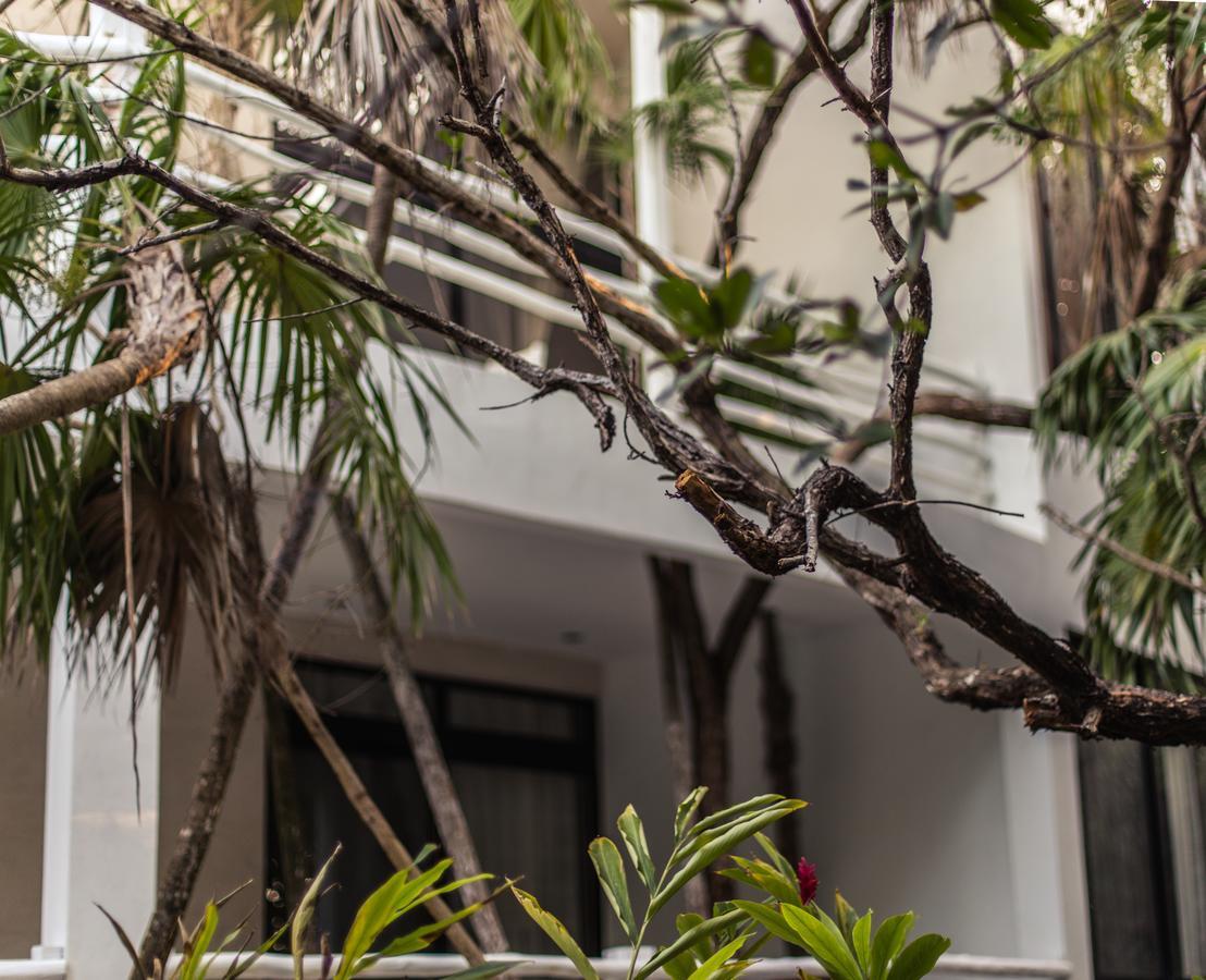 Casa Ambar Hotel & Boutique Tulum (Adults Only) Exterior photo